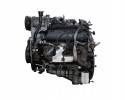 ENGINE COMPLETE GM 4 3 V6 VORTEC MERCRUISER VOLVO PENTA HYSTER Engine type petrol