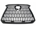 Dummy grill LEXUS NX AZ20 11 21 53111 78200
