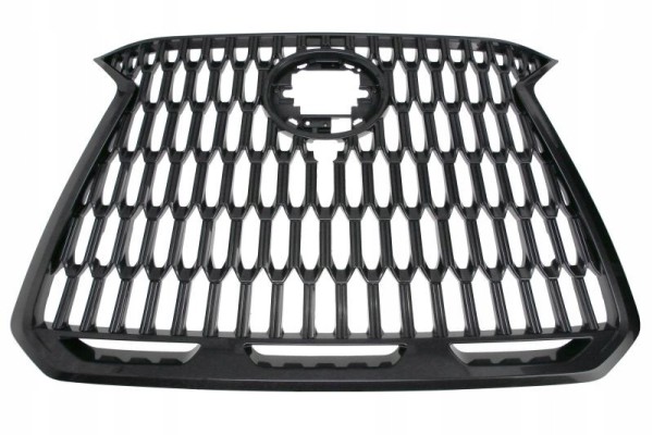 Dummy grill LEXUS NX AZ20 11 21 53111 78200