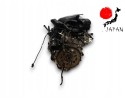 DIESEL ENGINE BMW F46 1 5 D B37C15A 2016 Quality of parts according to GVO O original with manufacturer s logo OE