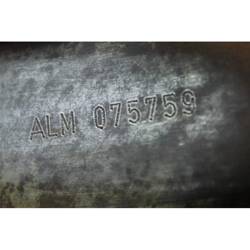 ALM MOTOR COMPLETO SEAT IBIZA (6K1)