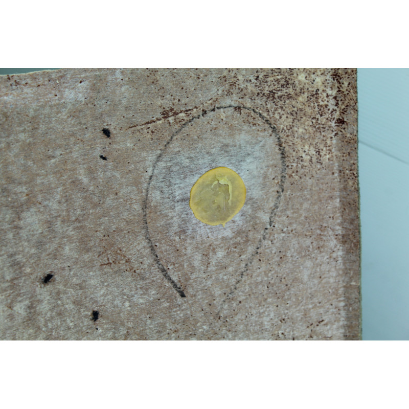 NEGRO TECHO INTERIOR BMW SERIE X5 (E53) 3.0i 2000 NEGRO 209756 BMW - 10