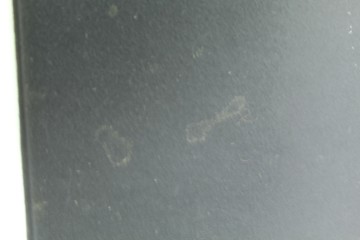 NEGRO TECHO INTERIOR BMW SERIE X5 (E53) 3.0i 2000 NEGRO 209756 BMW - 14