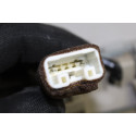 TECHO ELECTRICO SUBARU LEGACY COMBI/ OUTBACK (B13/BP) TECHO ELECTRICO SUBARU LEGACY COMBI/ OUTBACK (B13/BP)