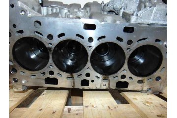 B47C20A BLOQUE BMW SERIE X1 (F48) sDrive18d B47C20A 173555 BMW - 4