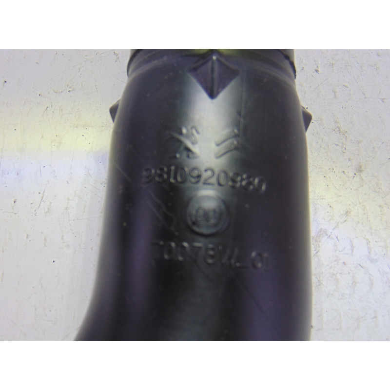 9810920980 TUBO PEUGEOT 3008