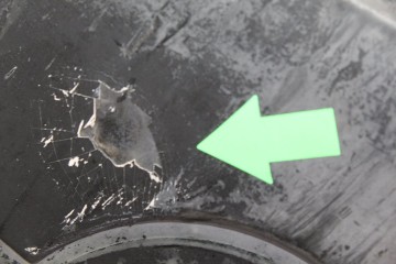  PARAGOLPES DELANTERO CITROEN BERLINGO COMBI X 2015 212847 CITROEN - 2