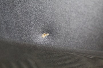 GRIS CENIZA PUERTA DELANTERA IZQUIERDA VOLKSWAGEN GOLF VII BERLINA (BQ1/BE2) Advance 2018 GRIS CENIZA 213505 VOLKSWAGEN - 3