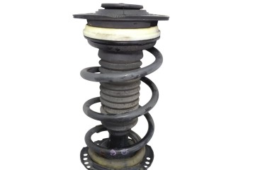  AMORTIGUADOR DELANTERO IZQUIERDO RENAULT KANGOO II (F/KW0) Profesional 2015 213807 RENAULT - 1