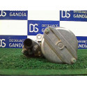 02M911021G MOTOR ARRANQUE VOLKSWAGEN POLO V (6C1) 02M911021G MOTOR ARRANQUE VOLKSWAGEN POLO V (6C1)