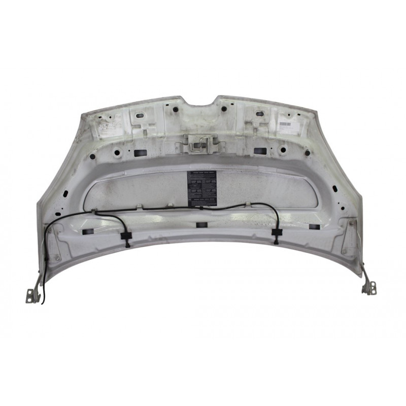 BLANCO CAPO RENAULT KANGOO II (F/KW0) Profesional 2015 BLANCO 213784 RENAULT - 2