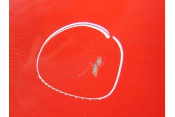 ROJO PORTON TRASERO FORD FOCUS BERLINA (CB8) Trend 2012 ROJO 176835 FORD - 1