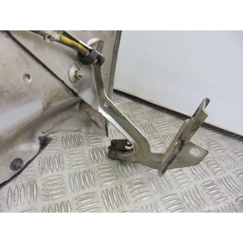 PLATA CAPO CITROEN GRAND C4 PICASSO Exclusive 2009 PLATA 190734 CITROEN - 1