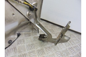 PLATA CAPO CITROEN GRAND C4 PICASSO Exclusive 2009 PLATA 190734 CITROEN - 1