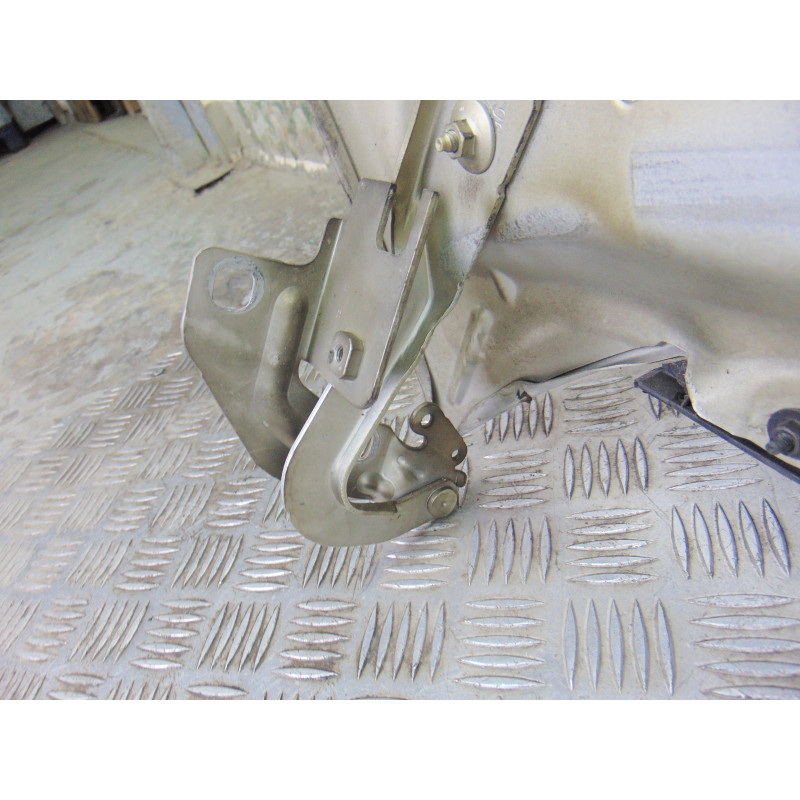 PLATA CAPO CITROEN GRAND C4 PICASSO Exclusive 2009 PLATA 190734 CITROEN - 2