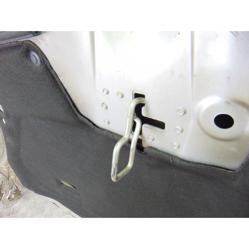 PLATA CAPO CITROEN GRAND C4 PICASSO Exclusive 2009 PLATA 190734 CITROEN - 3