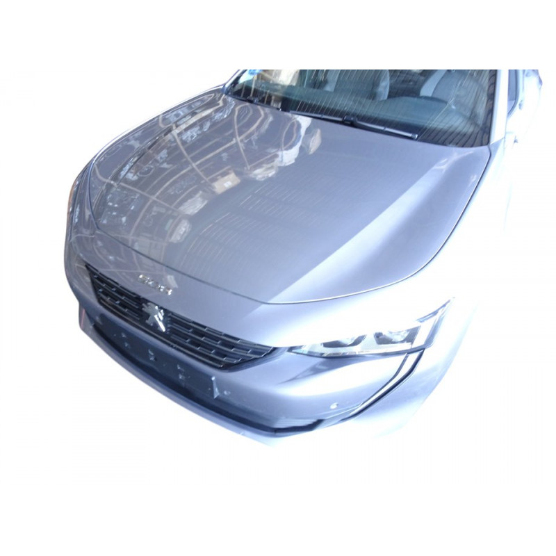 MORRO COMPLETO PEUGEOT 508