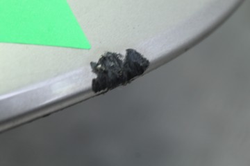  TAPA MALETERO BMW SERIE 7 (F01/F02) 740d xDrive 2011 210649 BMW - 2