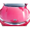MORRO COMPLETO KIA STONIC (YBCUV) MORRO COMPLETO KIA STONIC (YBCUV)