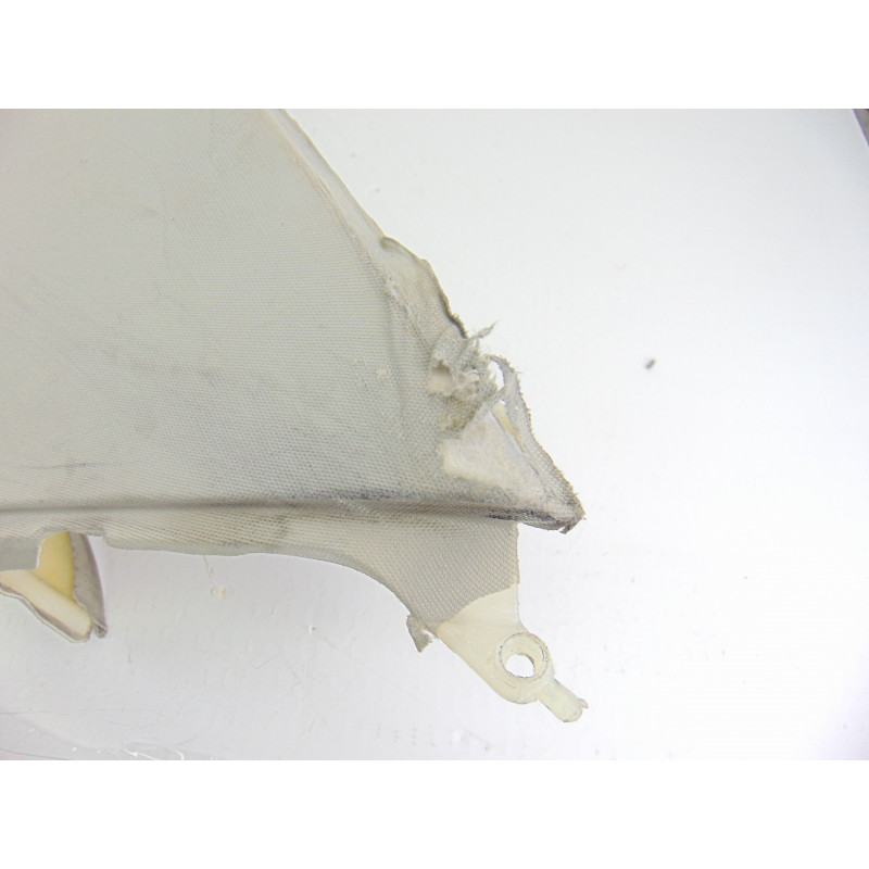  TECHO INTERIOR AUDI ALLROAD QUATTRO QUATTRO (4B5) 2.5 TDI (132kW) 2003 203491 AUDI - 8