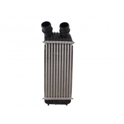 1498987080 INTERCOOLER FIAT II SCUDO (272) COMBI