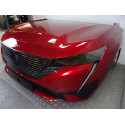 FRONTAL COMPLETO MORRO COMPLETO PEUGEOT 308 (P5) FRONTAL COMPLETO MORRO COMPLETO PEUGEOT 308 (P5)