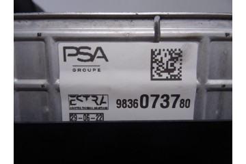 FRONTAL COMPLETO MORRO COMPLETO PEUGEOT 308 (P5) ACTIVE PACK 2022 FRONTAL COMPLETO 208865 PEUGEOT - 51