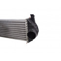 144963234R INTERCOOLER RENAULT KANGOO II (F/KW0) Profesional 2015 144963234R 213788 RENAULT - 2