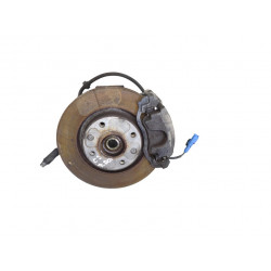 MANGUETA DELANTERA DERECHA CITROEN C3