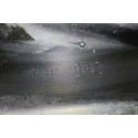 9685315580 PUENTE DELANTERO CITROEN C3 9685315580 PUENTE DELANTERO CITROEN C3