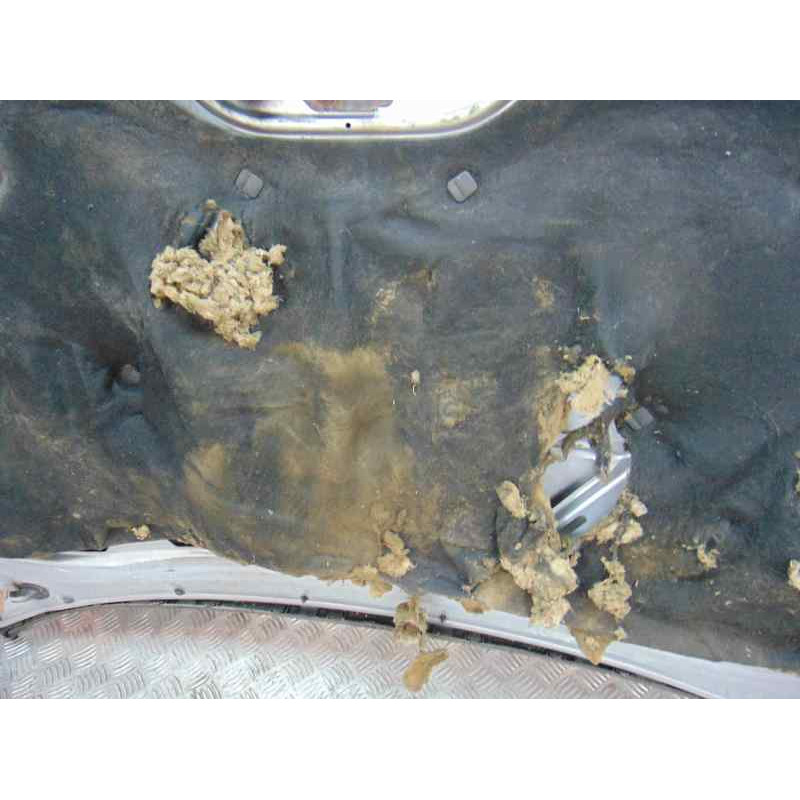 PLATA CAPO SEAT ALTEA (5P1)