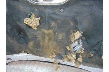 PLATA CAPO SEAT ALTEA (5P1)