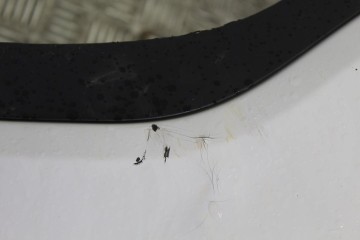 BLANCO PARAGOLPES DELANTERO RENAULT CLIO IV Authentique 2015 BLANCO 214982 RENAULT - 4